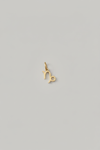Mini charm Zodiaco