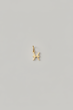 Mini charm Zodiaco