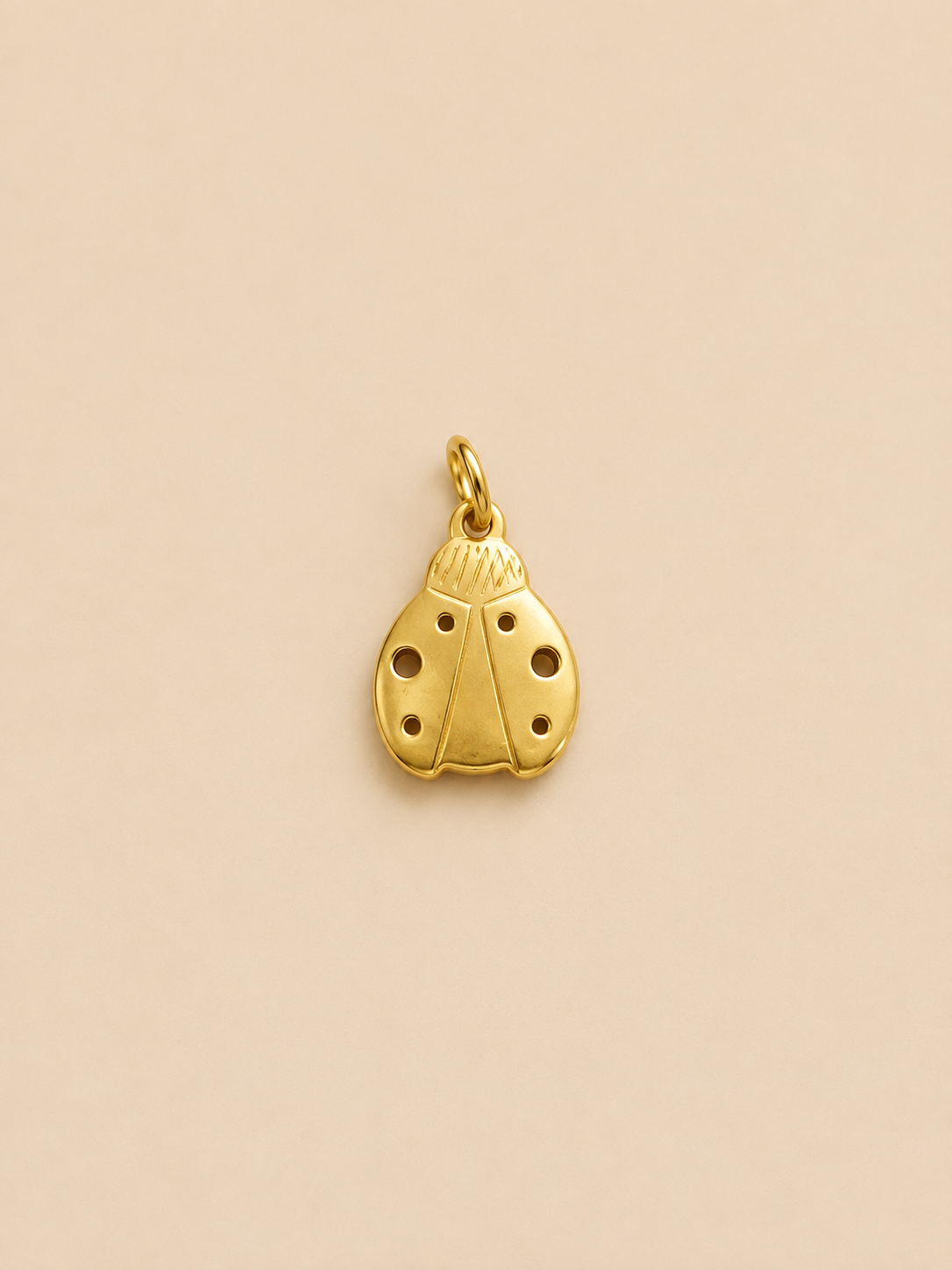Mini charm “Coccinella”