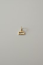 Mini charm Zodiaco