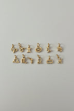 Mini charm Zodiaco
