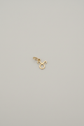 Mini charm Zodiaco
